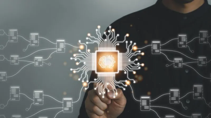 Miễn trừ trách nhiệm giúp người dùng hiểu cách sử dụng dữ liệu